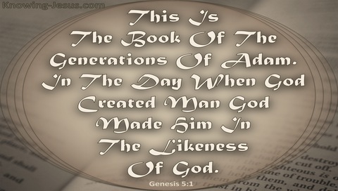 Genesis 5:1 The Generations Of Adam (gray)